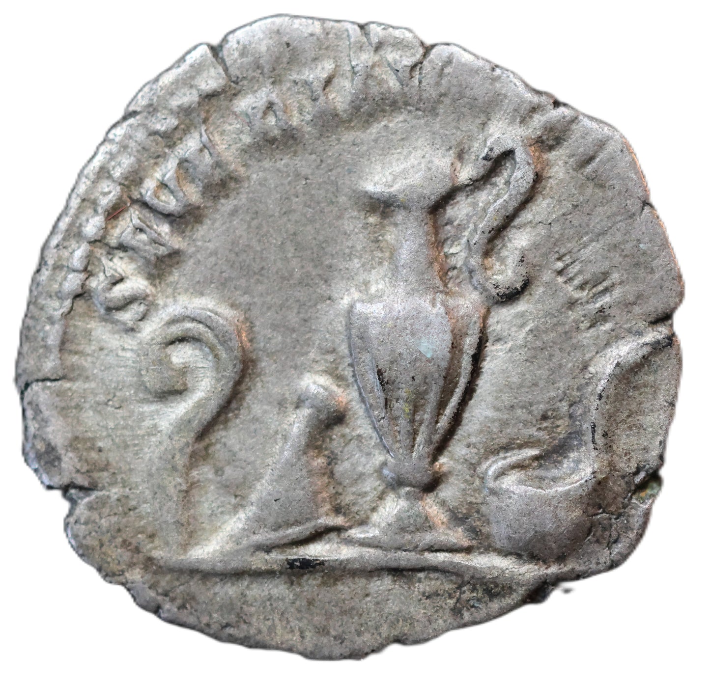 Titus Silver Denarius