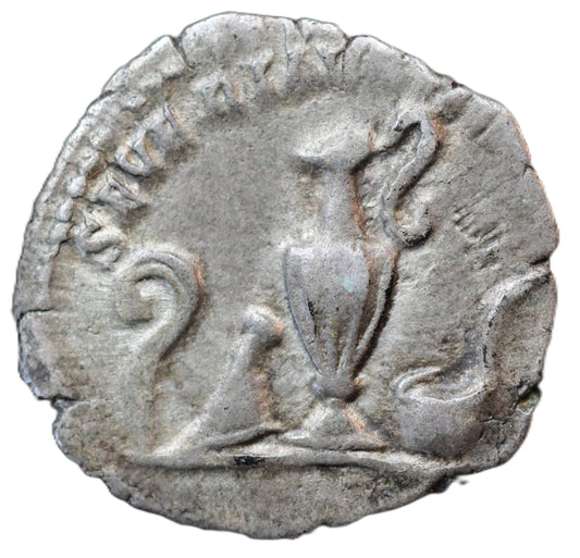 Titus Silver Denarius